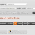 DNS Ayarlarına Giriş