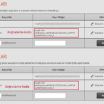 Google Search Console DNS Doğrulama