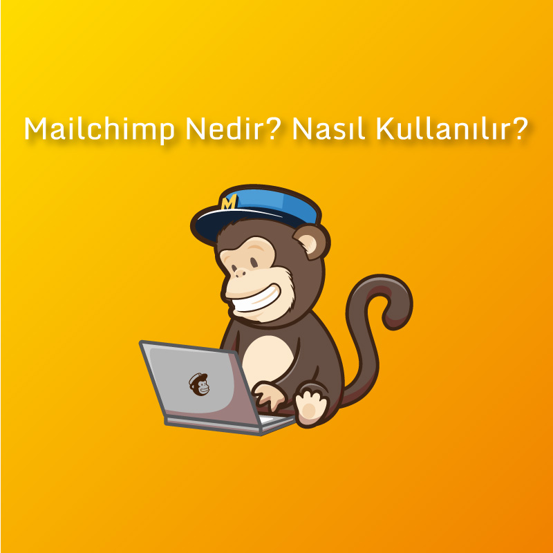 Mailchimp Nedir Nasıl Kullanılır
